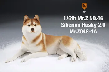 Ponas Z046 1/6 Masto Sibiro Haskis Kareivis Modelis Šuo Pet Scenos Reikmenys, Gyvūnų Modelis-12 colių Veiksmų Pav.